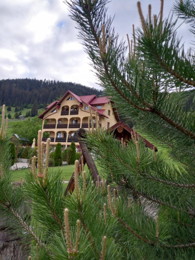 Pensiunea Alunis Hotel Sadova  Eksteriør billede